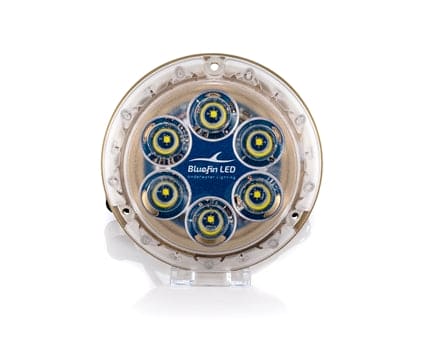 BlueFin LED - Piranha P6 Nitro Blue