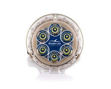 BlueFin LED - Piranha P6 Nitro